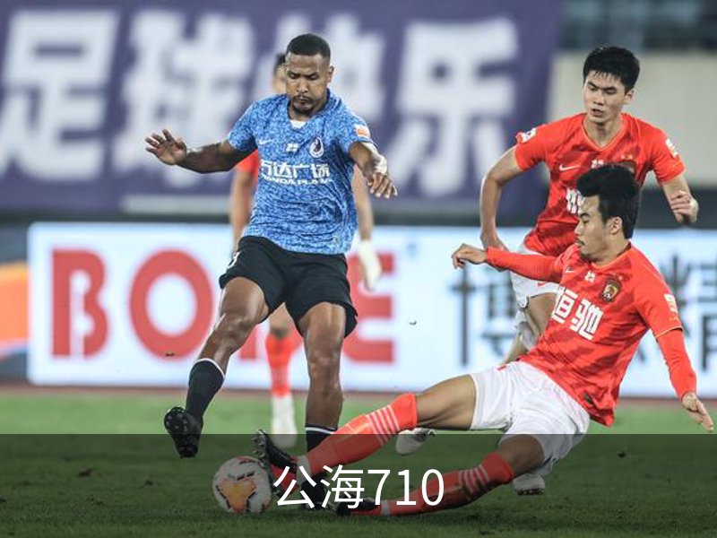 公海710介绍