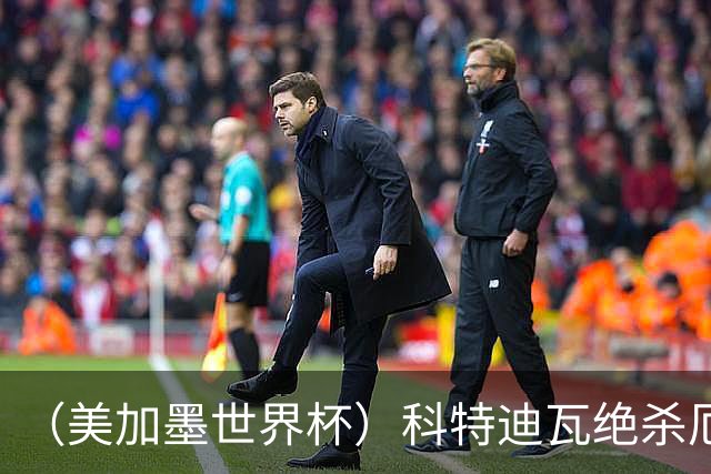 （美加墨世界杯）科特迪瓦绝杀厄瓜多尔 瑞典5:1大胜突尼斯
